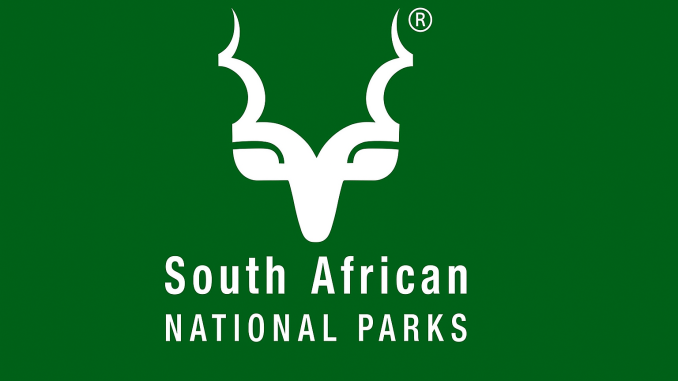 20250608_1454_South African Parks Logo_remix_01jx7sna7bfe2rhj8614dm627x